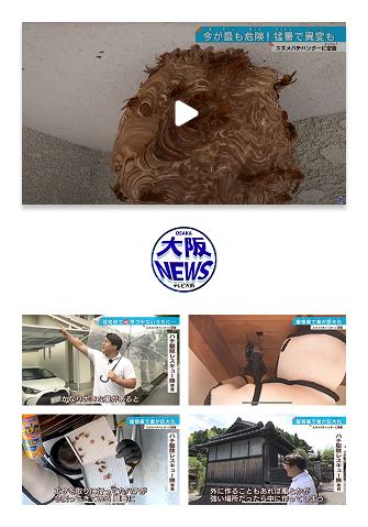 テレビ報道動画を見る